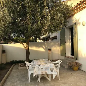De L'olivier Saintes-Maries-de-la-Mer